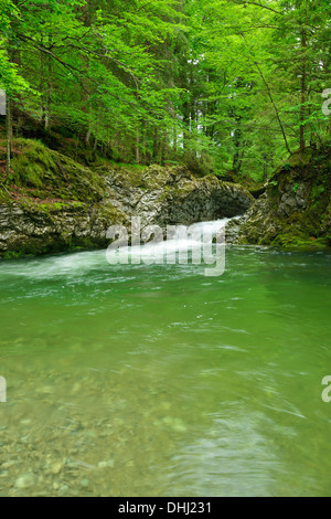 Mountain stream running through a narrow bed, Prien in Prien valley, Chiemgau, Chiemgau range, Upper Bavaria, Bavaria, Germany Stock Photo