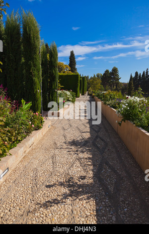 Park in Alhambra palace at Granada Spain Stock Photo