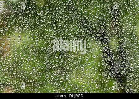 background from water drops on glass Stock Photo