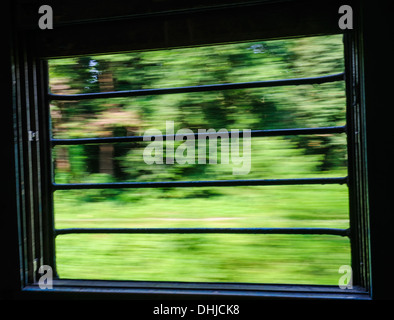 View of forest through the window of a speeding express train passing through the jungle of North Bengal Stock Photo