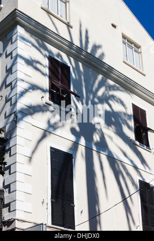 Palm tree shadow on a building at Gibraltar. Stock Photo