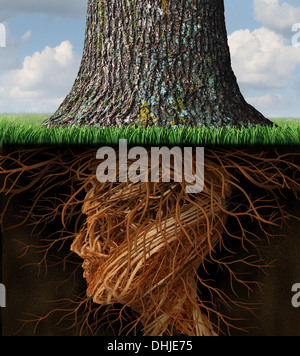 Take root and taking roots business and health care concept with underground tree roots in the shape of a human head as a tall tree grows above as an icon of growth and success in health care and wealth. Stock Photo