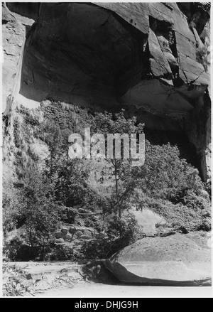 Map of Utah along Narrows Trail showing rocks that fell out. Ferns and hanging gardens inside arch. 520469 Stock Photo