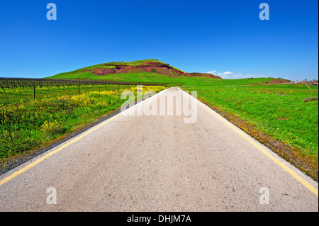 Road in Golan Stock Photo