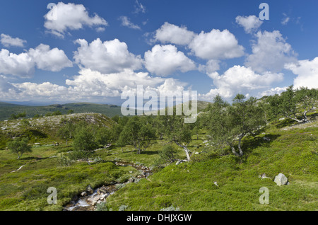 landscape in Femundsmarka NP, Norway Stock Photo