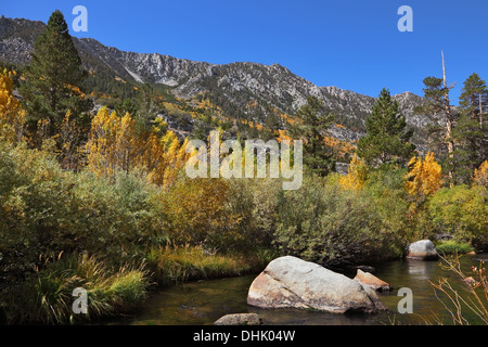 Huge boulders in a shallow creek Stock Photo
