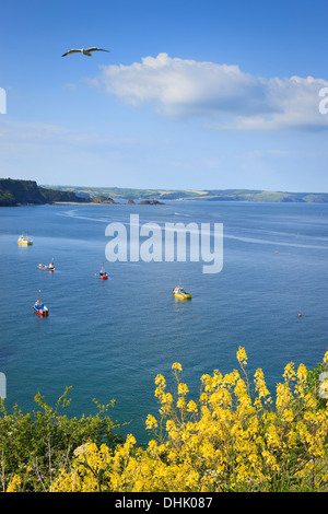 The view from Castle Hill Tenby Pembrokeshire Wales Stock Photo