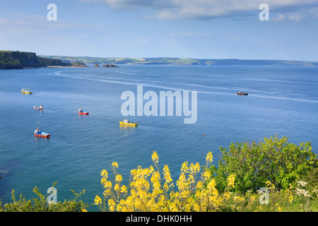 The view from Castle Hill Tenby Pembrokeshire Wales Stock Photo