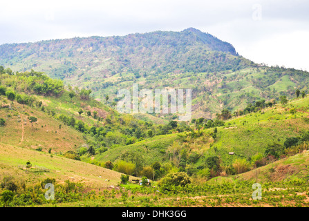 Morning Mist at Tropical Mountain Range, Phetchabun,Thailand Stock Photo