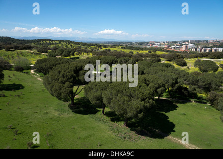 View of Casa de Campo from the teleferico, Madrid, Spain Stock Photo