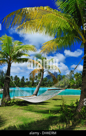 Hammock between two palm trees, Saint Regis Bora Bora Resort, Bora Bora, Society Islands, French Polynesia, Windward Islands, So Stock Photo