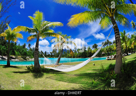 Hammock between two palm trees, Saint Regis Bora Bora Resort, Bora Bora, Society Islands, French Polynesia, Windward Islands, So Stock Photo