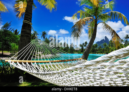 Hammock between two palm trees, Saint Regis Bora Bora Resort, Bora Bora, Society Islands, French Polynesia, Windward Islands, So Stock Photo