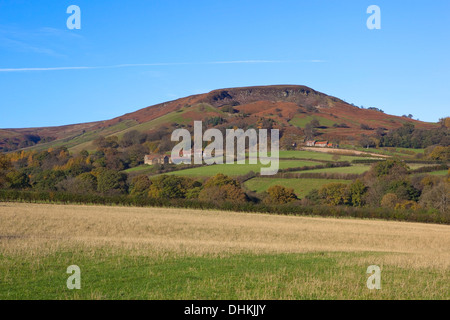 Rudland rigg in the North York moors national park with grassy meadows, trees  and moorland heather in Autumn. Stock Photo