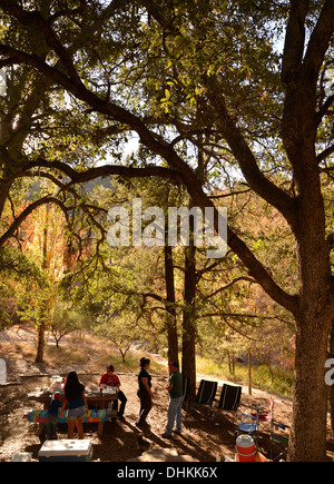 Visitors to Madera Canyon enjoy a picnic and Fall colors in the Santa Rita Mountains, Arizona, USA. Stock Photo