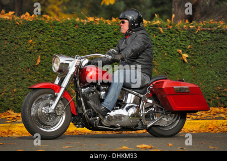 Man riding his large red motorcycle on autumn day in Beacon Hill Park-Victoria British Columbia Canada. Stock Photo