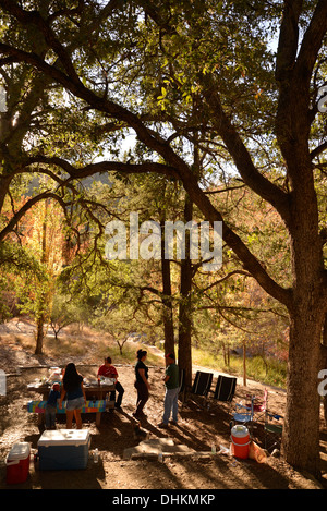 Visitors to Madera Canyon enjoy a picnic and Fall colors in the Santa Rita Mountains, Arizona, USA. Stock Photo