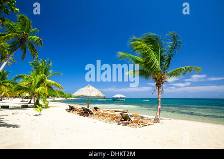 Chairs lined up next to a thatch palapa on a Caribbean beach Stock Photo
