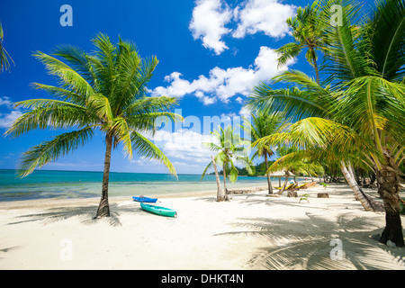 Palmetto Bay Beach Stock Photo