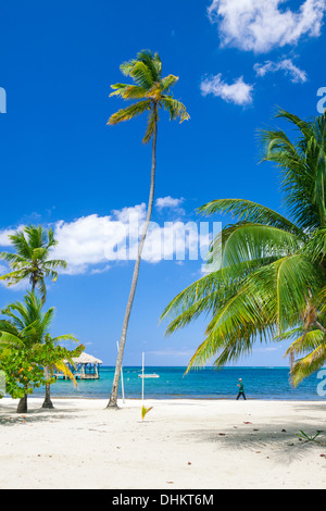 Palmetto Bay Beach Stock Photo