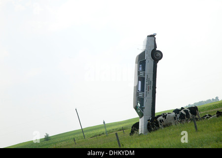 Cows grazing beneath shadow cast by white stretched limousine buried in a upright position. Sauk Centre Minnesota MN USA Stock Photo