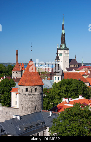 Cityscape picture taken in the Old Town of Tallinn, Estonia. Houses with red roof and church St. Olaf in background. Stock Photo