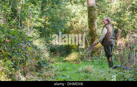 Man with a shotgun stood in a wood at the start of a pheasant shoot in England Stock Photo