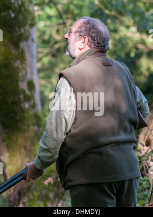 A man with a shotgun stood in a wood waiting for the start of a pheasant shoot in England Stock Photo
