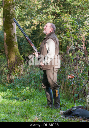 A man with a shotgun stood in a wood waiting for the start of a pheasant shoot in England Stock Photo