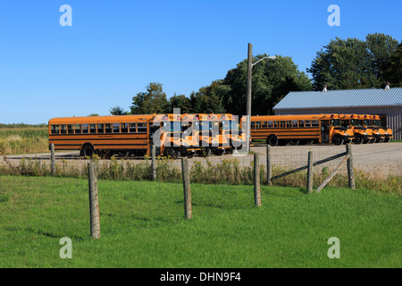 School buses parked in a yard in Southern Ontario near Barrie Stock Photo