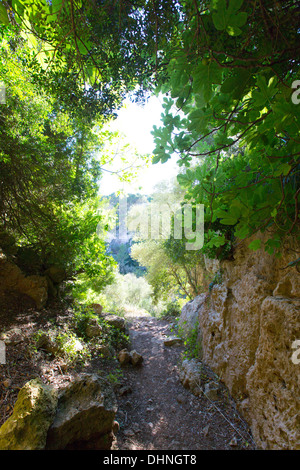 Menorca Cova dels Coloms Pigeons cave in es Mitjorn at Balearic island Stock Photo