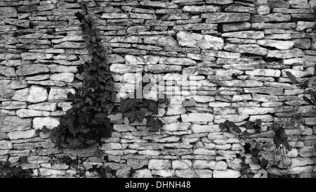 Traditional Dry Stone Wall, Bibury Court, Gloucestershire Stock Photo