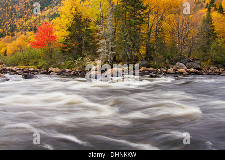 Canadian autumn landscape with beautiful mountain river in Jacques Cartier national park-Canada Stock Photo