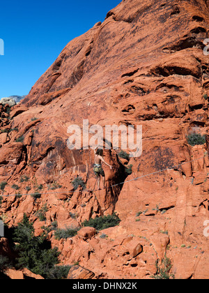 Man walks on highline at Red Rock Canyon National Conservation Area, which is about 20 miles from   Las Vegas Stock Photo