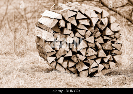 a stere beech wood packed sepia Stock Photo