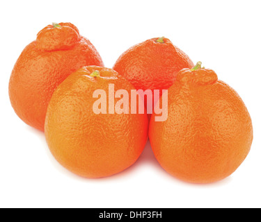 Ripe mineola fruits isolated on white background. Closeup. Stock Photo
