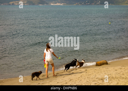 Dogs chasing a ball on Ansedonia beach, with Porto Ercole in the distance, Monte Argentario, Province of Grosseto, Tuscany, Ital Stock Photo