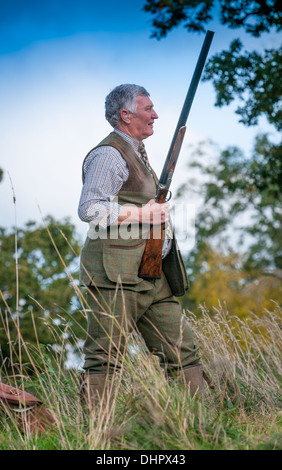 A man with a shotgun stood  waiting for the start of a pheasant shoot in England Stock Photo