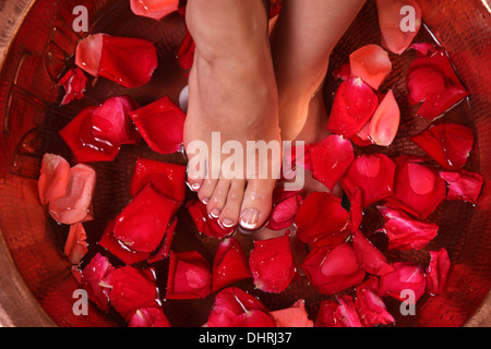 Woman's feet in the water with roseleaf Stock Photo