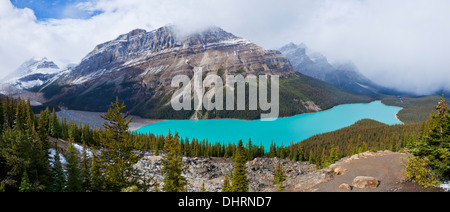 Peyto lake Icefields Parkway banff National Park Canada North America Alberta Stock Photo