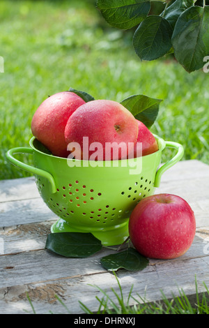 Fresh ripe red apples in colander Stock Photo