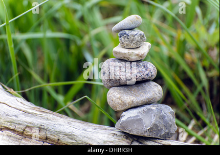 Cairn on a tree in front of beach grass Stock Photo