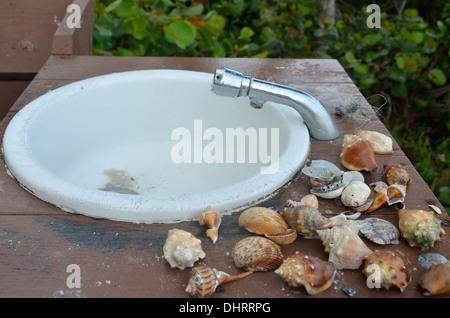 Seashell washing station at the Hilton Resort on Marco Island, Florida Stock Photo