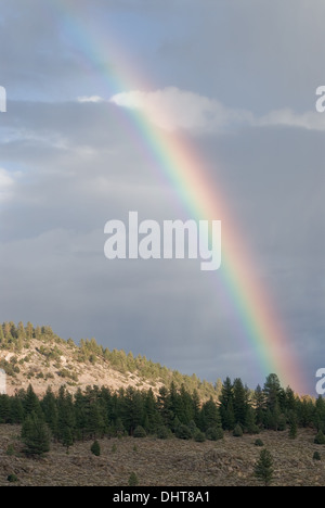 Bright rainbow in northern California near Yosemite. Stock Photo