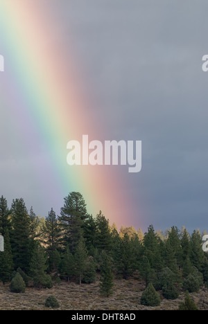 Bright rainbow in northern California near Yosemite. Stock Photo
