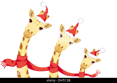 Giraffes celebrating Christmas Stock Photo