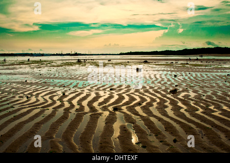 Beautiful patterns in the mudflats on a beach in Bali, Indonesia. Stock Photo