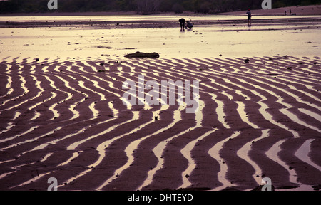 Beautiful patterns in the mudflats on a beach in Bali, Indonesia. Stock Photo