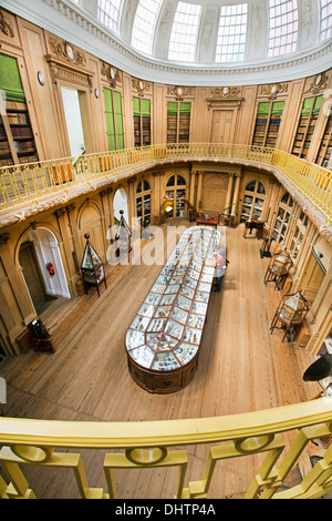 Netherlands, Haarlem, Teylers Museum oldest museum, open to the public since 1784. High angle view on the oval room. Visitors Stock Photo