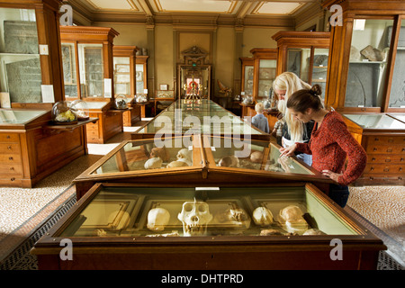 Netherlands, Haarlem, Teylers Museum, Women looking at the prehistoric heritage Stock Photo